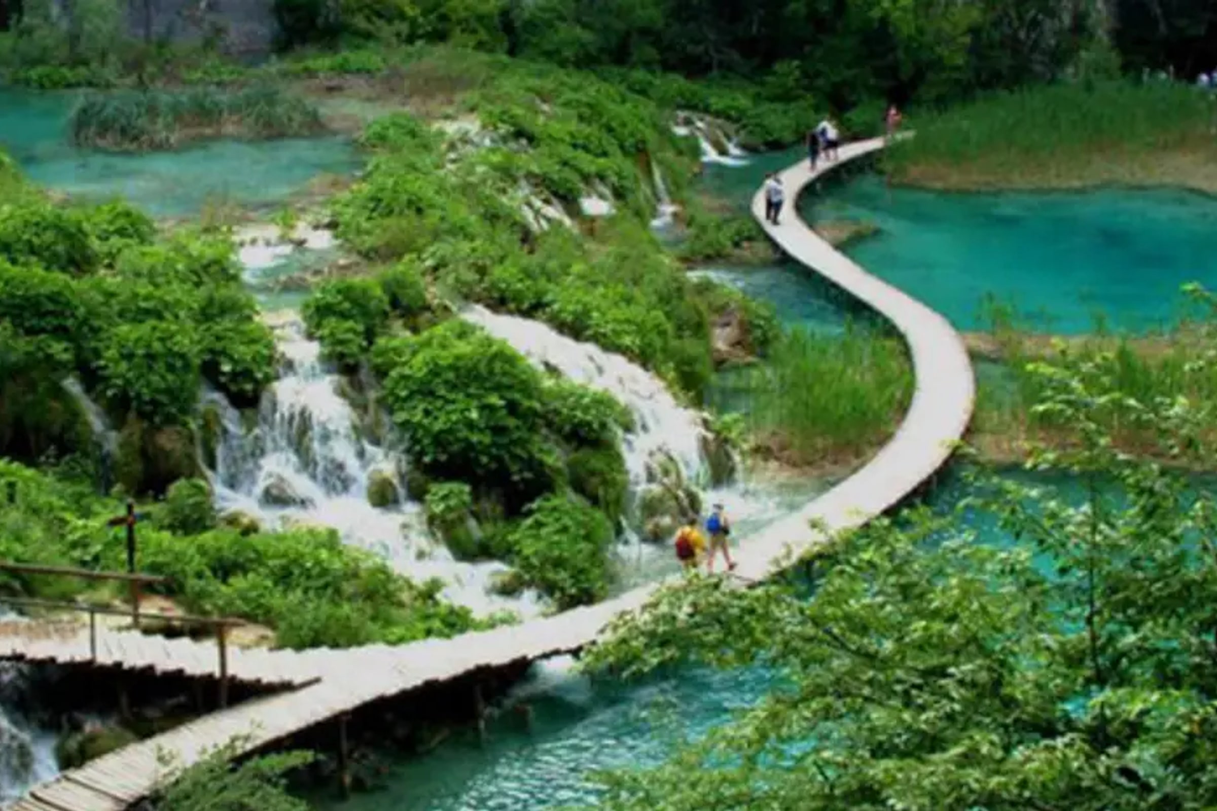 Bach Ma National Park one day tour